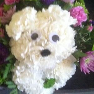 Meet your Posher, Karen